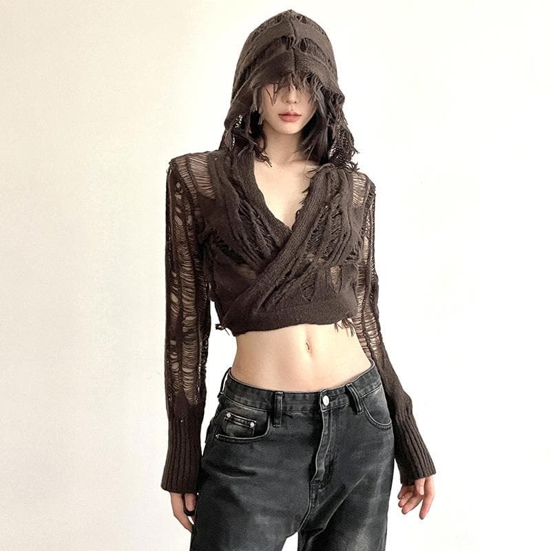 Crochet Hollow Out Long Sleeve Tassel Tie Crop Top - Y2K Coquette & Grunge Aesthetic