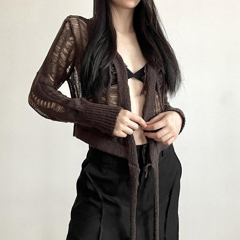 Crochet Hollow Out Long Sleeve Tassel Tie Crop Top - Y2K Coquette & Grunge Aesthetic